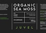 design product packaging and label for food, and jars